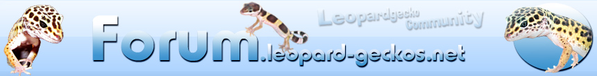 Forum leopard-geckos.net - Das Leopardgecko Forum Foren-bersicht